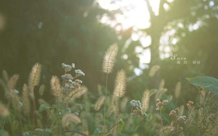 自強不息，不負青春，不負紫光