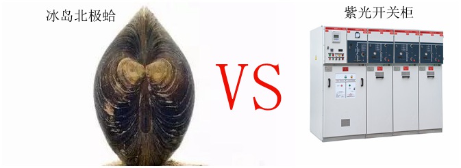 論長(zhǎng)壽只服冰島北極蛤，選高壓開(kāi)關(guān)柜認(rèn)準(zhǔn)紫光電氣